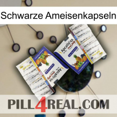 Black Ant Capsules 12